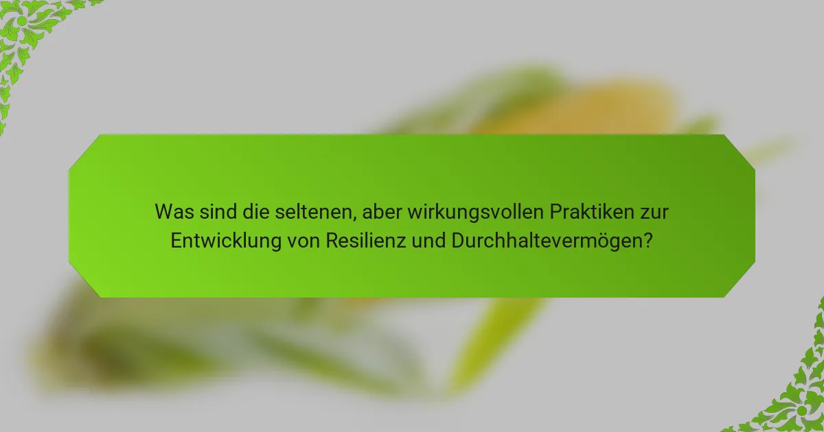 Was sind die seltenen, aber wirkungsvollen Praktiken zur Entwicklung von Resilienz und Durchhaltevermögen?
