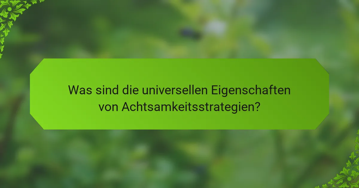 Was sind die universellen Eigenschaften von Achtsamkeitsstrategien?